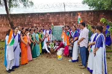 Plantation (AKAM)